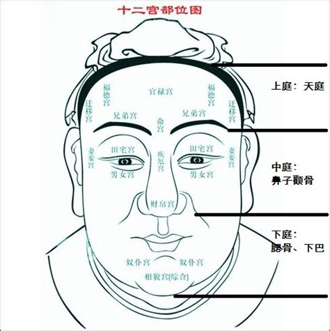 天庭面相|面相学天庭的相法是什么 面相天庭的位置在哪里